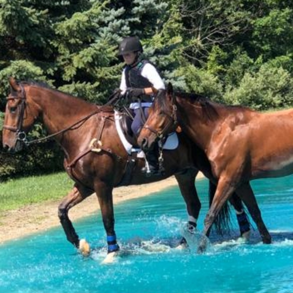 Meet your Posher, Kelly